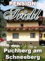 Pension Triebl