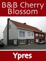 B&B Cherry Blossom