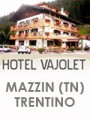 HOTEL VAJOLET
