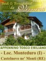 B&B DA VIVIANA