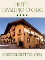 HOTEL CAVALLINO D'ORO