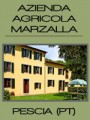 AZIENDA AGRICOLA MARZALLA