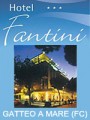 HOTEL FANTINI