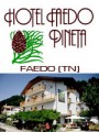HOTEL FAEDO PINETA