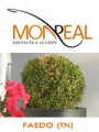 HOTEL MONREAL