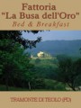 FATTORIA LA BUSA DELL'ORO