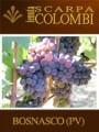 TENUTA SCARPA COLOMBI COUNTRY INN