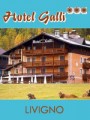 HOTEL GALLI