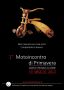 I° MOTOINCONTRO  DI PRIMAVERA
