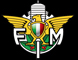 fmi