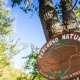 I4223_20251007161028_Walking_on_the_nature_1_.jpg