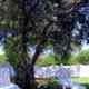 I4887_20190607160627_2014hotel_giardino3a_1.jpg