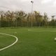 I5997_20250318160331_DSC_7873.jpg