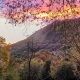 I6125_20251017091009_IMG_146_tramonto_mod_2.jpg