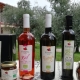 I6139_20241217131204_Agriturismo_Fioralba_Lago_di_Garda_appartamenti_prodotti_tipici_01.jpg