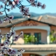I6204_20250516090536_Hotel_02.jpg