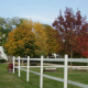 I6225_20250827080817_resize_19.png