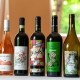 I6228_20250828130810_hotel_pineta_ristorante_8_scaled.jpg