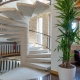 I6228_20250828130813_hotel_pineta_hall_4_scaled.jpg