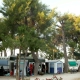 I6258_20260213110202_pineto_beach_village_camping_pineto_abruzzo_camping_4.jpg